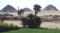 Pyramidy v Abusíru
