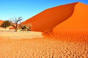Poušť Namib - Namibie