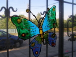 Malovaný motýl