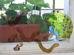 Malovaná žába