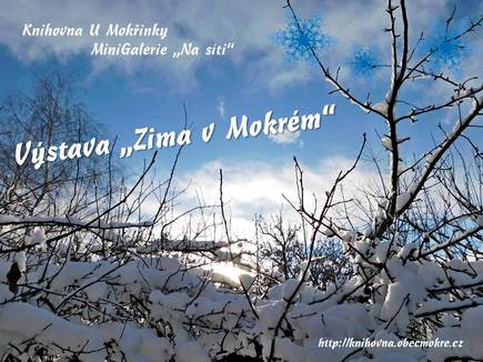 Výstava 2021 Zima v Mokrém