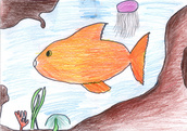 Zlatá rybka v mokerském rybníku