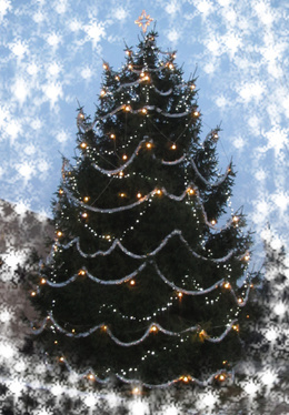 Vánoční strom Mokré 2012