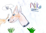 Můj pes Niko